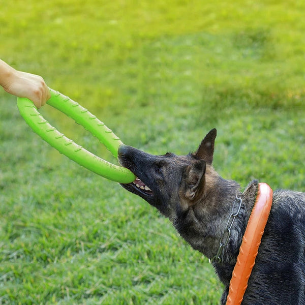 Pet Flying Discs